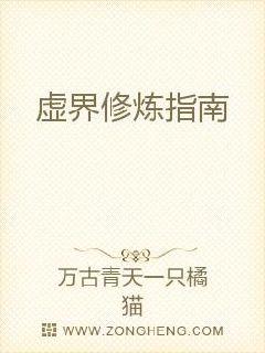 �������ָ��С˵