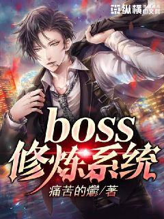BOSS����ϵͳ�����Ķ�txt����