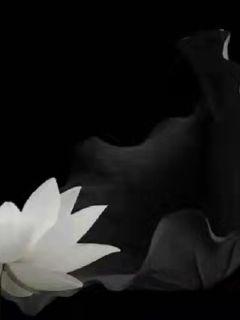 �ζ��ϼ�С˵