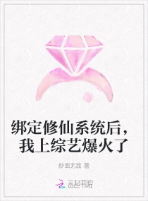 ������ϵͳ���������ձ�����С˵