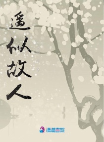 ң�ƹ���С˵