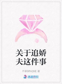 ����׷���������С˵