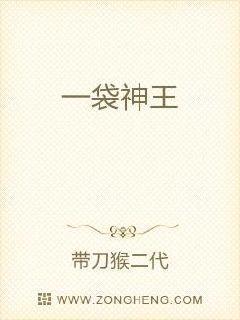 һ������С˵