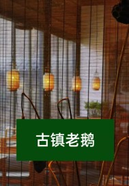 �����϶�С˵