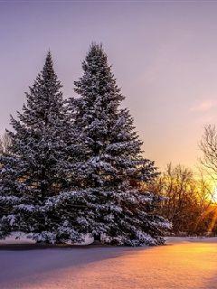 ĩ�����ڿƼ�����ƽ̨С˵