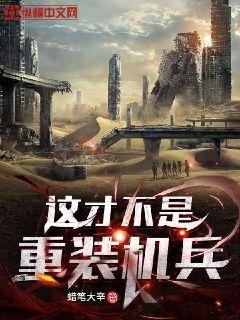 ��Ų�����װ����С˵