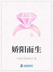 ��������С˵