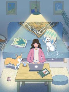 ��������С˵