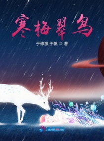 ��÷����С˵