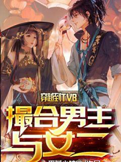 ��Խ��TVB���������Ů��С˵