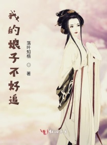 �ҵ����Ӳ���׷С˵