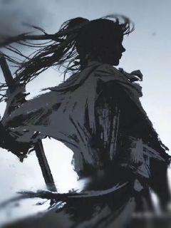 ϵͳ֮�޵�����С˵