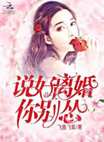 ˵����������С˵