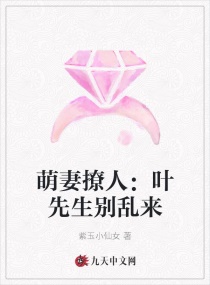 �������ˣ�Ҷ����������С˵