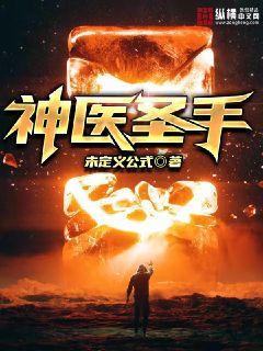 ��ҽʥ��С˵