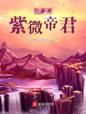 �����΢�۾�С˵