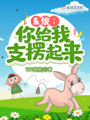 ϵͳ�������֧������С˵