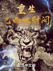 �����������Ʒ�С˵