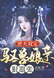 ����˫����Ԧ�����׺�����С˵