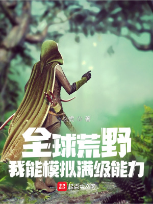 ȫ���Ұ������ģ����������С˵