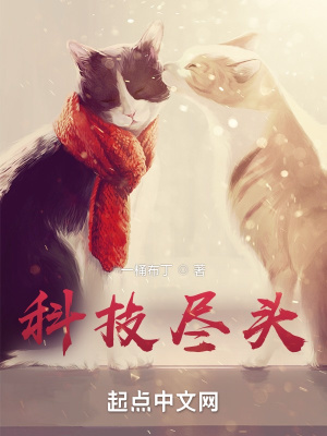 �Ƽ���ͷС˵