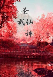 ʥ������С˵