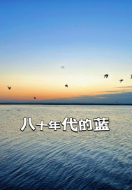 ��ʮ�������С˵