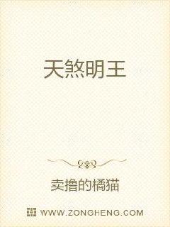 ��ɷ����С˵