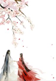 ���������ɴ�С˵