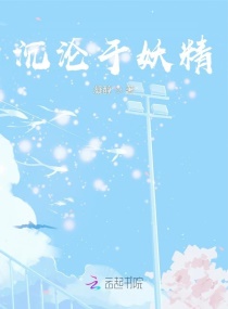 ����������С˵