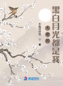 ���еĺڰ��¹ⶼ����С˵