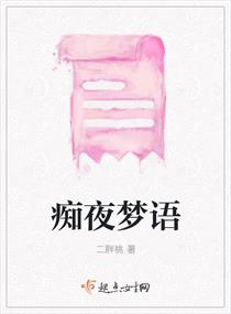 ��ҹ����С˵