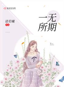 һ������С˵