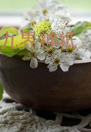 ������o�����Ķ�txt����