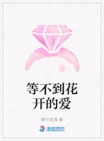 �Ȳ��������İ�С˵