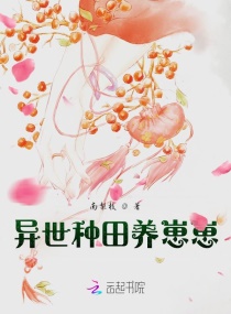 ����ֲ���ܺ�����������������С˵