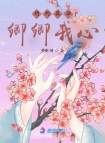 �����ƻ�С˵