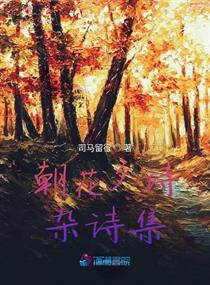 ����Ϧʫ��ʫ��С˵