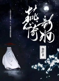 ������ױС˵