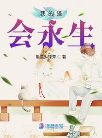 �ҵ�è������С˵