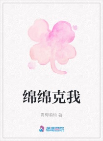 �������С˵