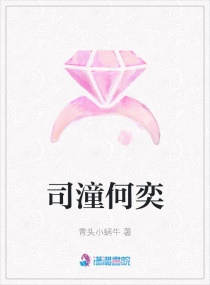 ˾������С˵