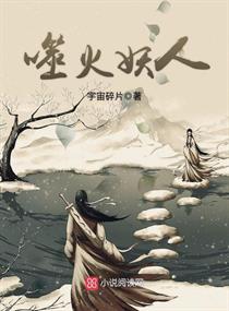 �ɻ�����С˵