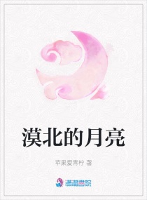 Į��������С˵