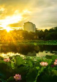 �ص����ͳ�С˵