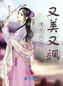 �ҰѾ���������С˵