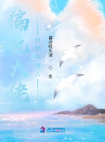 ƫִ���е���������С˵