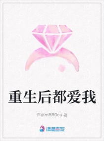 ����������С˵