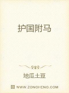 ��������С˵