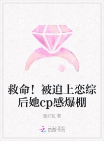 ���������������ۺ���cp�б���С˵